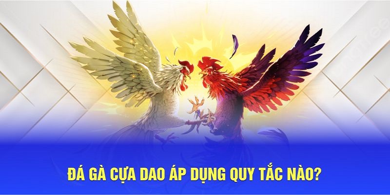 Các quy tắc quan trọng trong đá gà cựa dao
