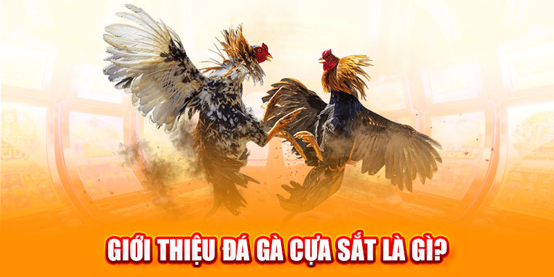 Giới thiệu đá gà cựa sắt là gì?